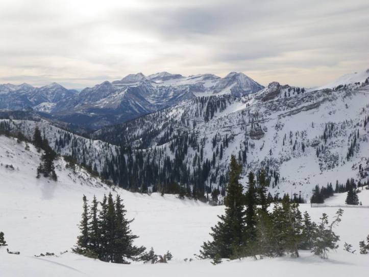 wasatch