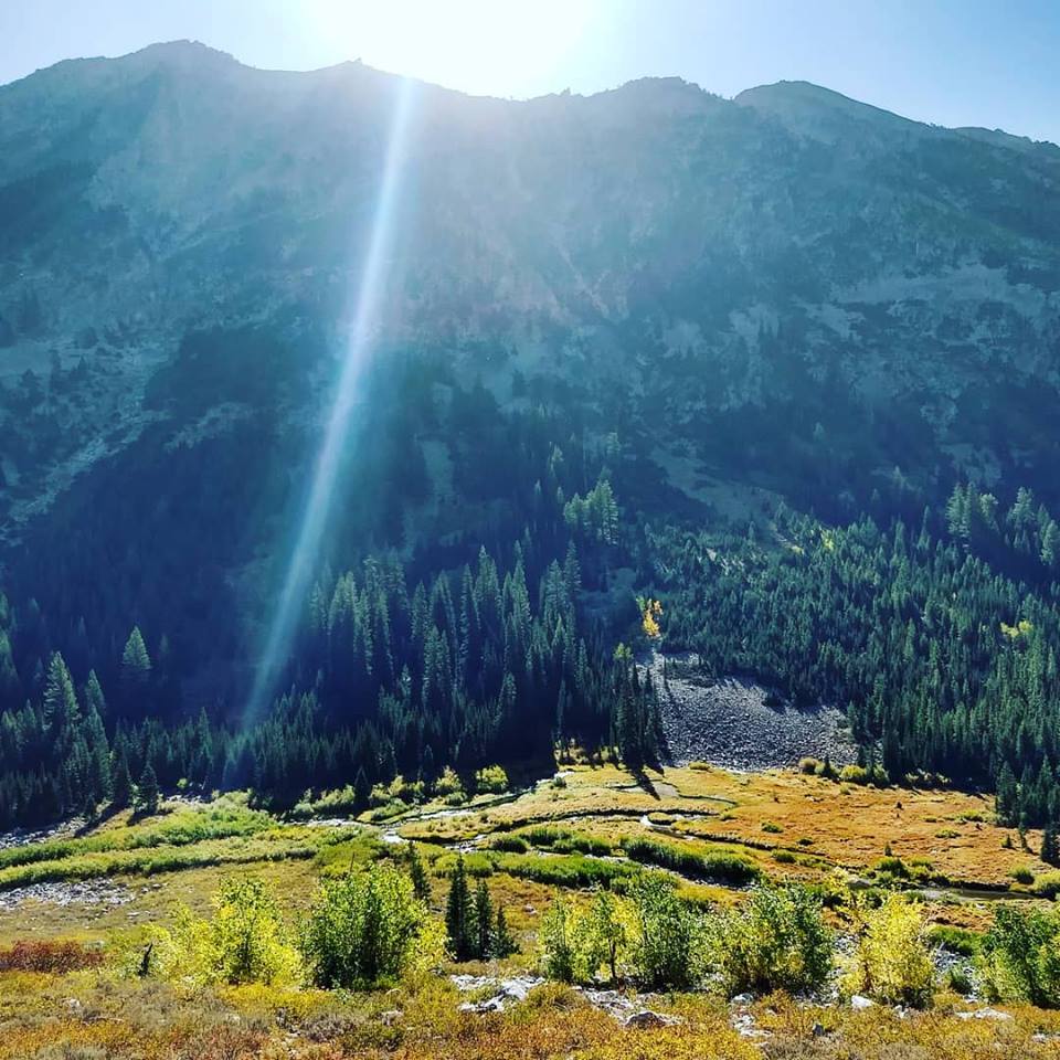 Sawtooth 6