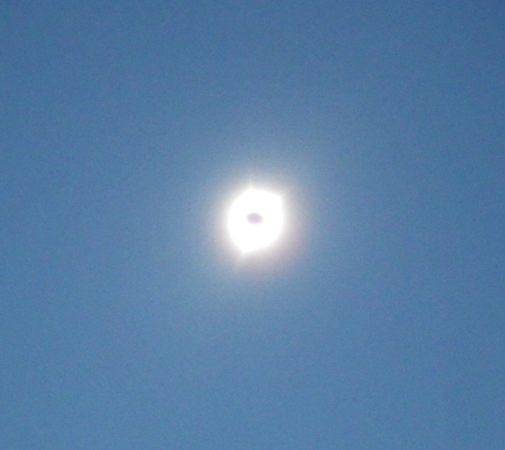 IMGP8603